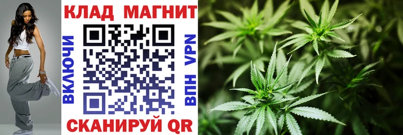 Продажа наркотиков Болохово ГАШ Канабис Alpha-PVP Псилоцибиновые грибы КОКАИН Мефедрон
