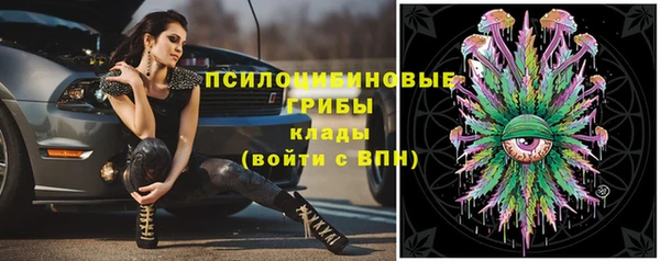 эйфоретик Беломорск
