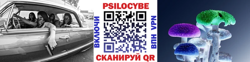 Псилоцибиновые грибы Psilocybine cubensis  блэк спрут ТОР  Болохово  закладки 